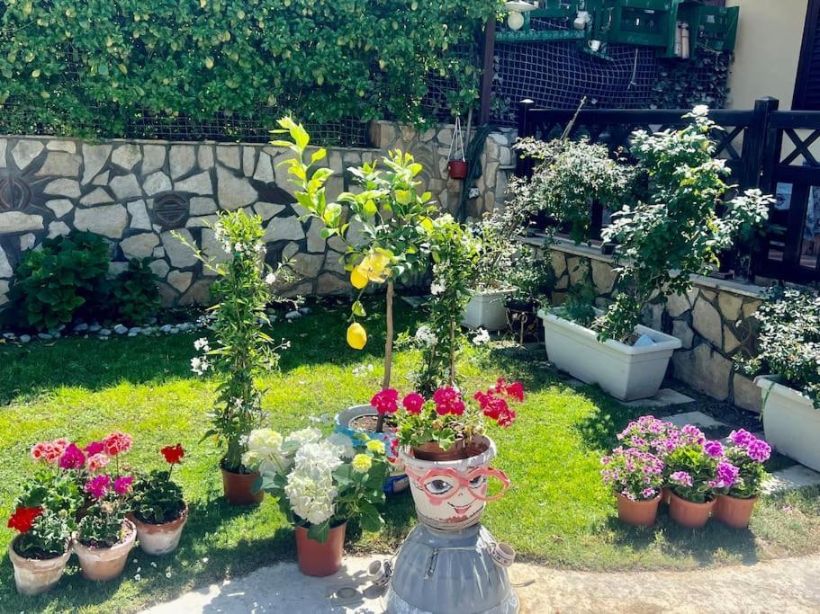 Villa Eco-Chic Carini Zewnętrze zdjęcie