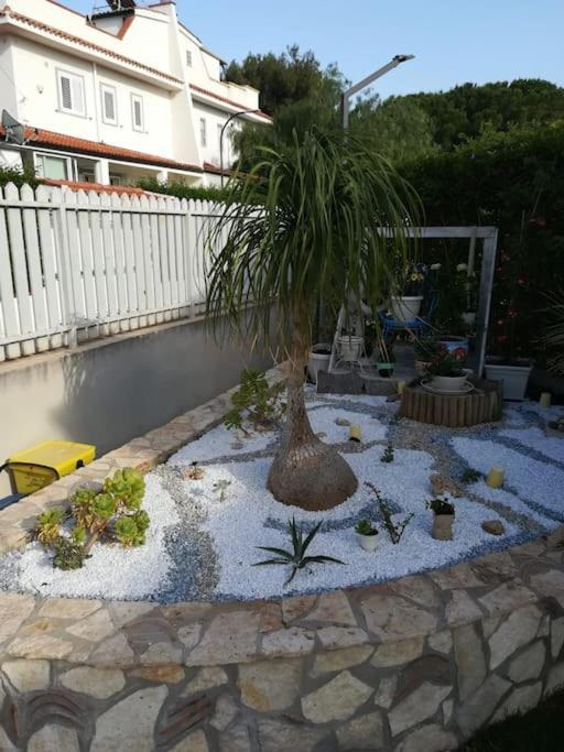Villa Eco-Chic Carini Zewnętrze zdjęcie